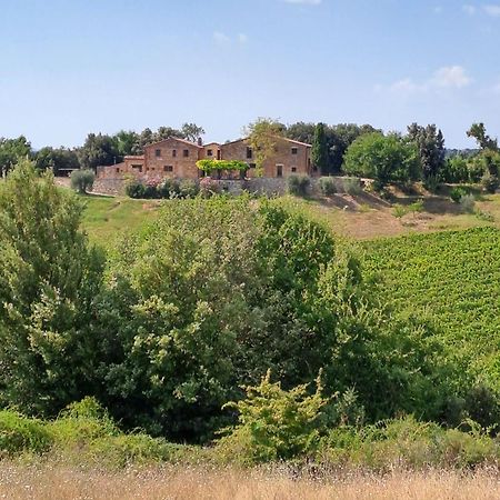Podere Sole Trequanda Bagian luar foto