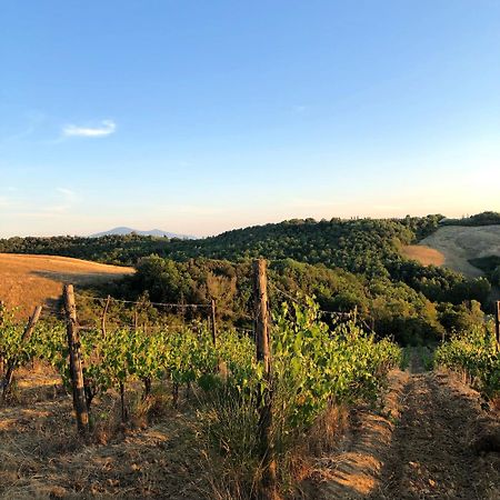 Podere Sole Trequanda Bagian luar foto