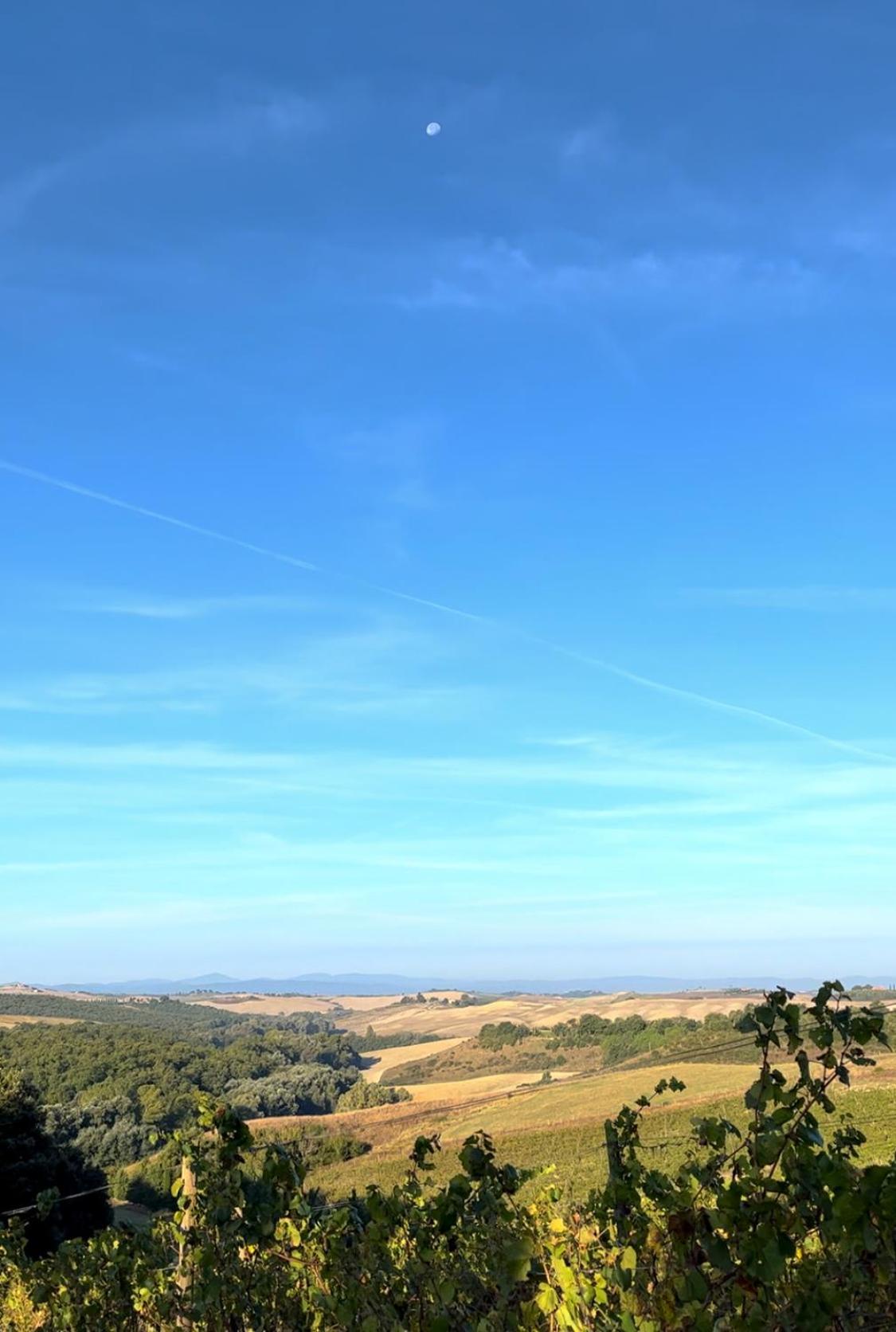 Podere Sole Trequanda Bagian luar foto