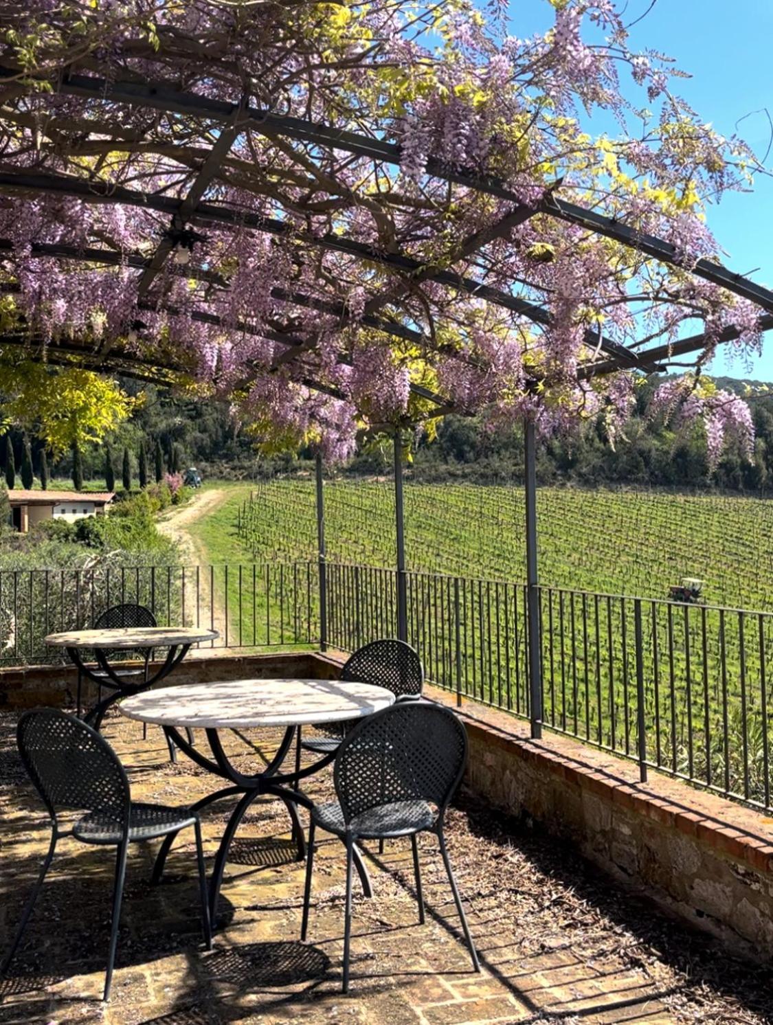 Podere Sole Trequanda Bagian luar foto