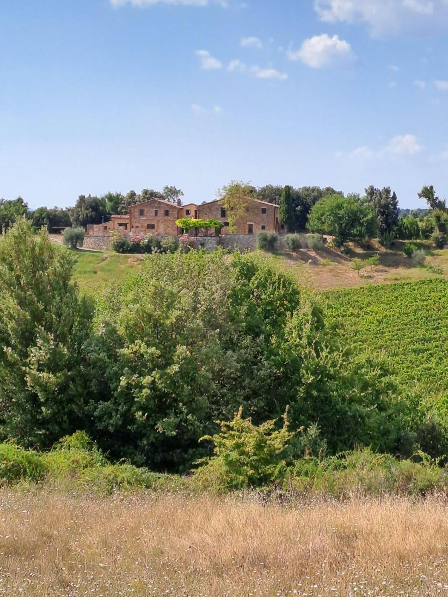 Podere Sole Trequanda Bagian luar foto